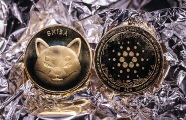 gcw management featured image